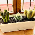 Apartamento Centro Torremolinos Con Solarium