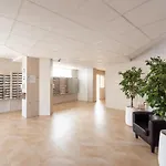 Lovely Studio New York Design