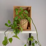 Sun & Beach Apartment