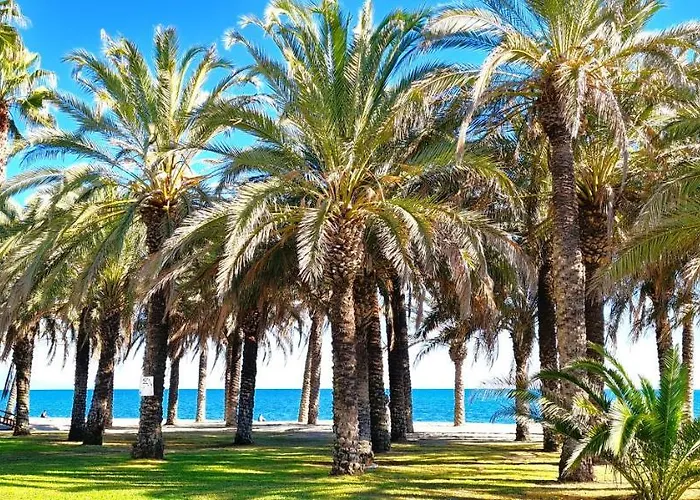 Vista Azul No1