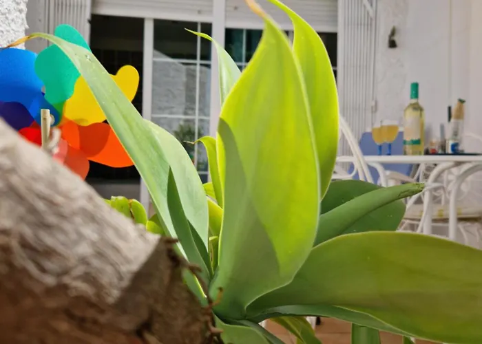 San Antonio - Beach, Pool And Terrace