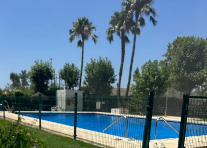 Los Alamos 305
