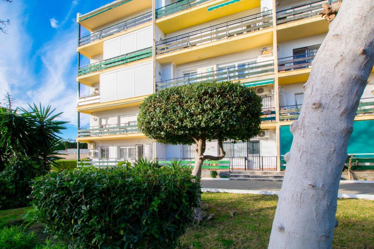Alamos Sardinero *