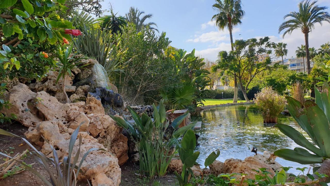 Golf Coast Alamos, Primera Linea De Playa Apartment