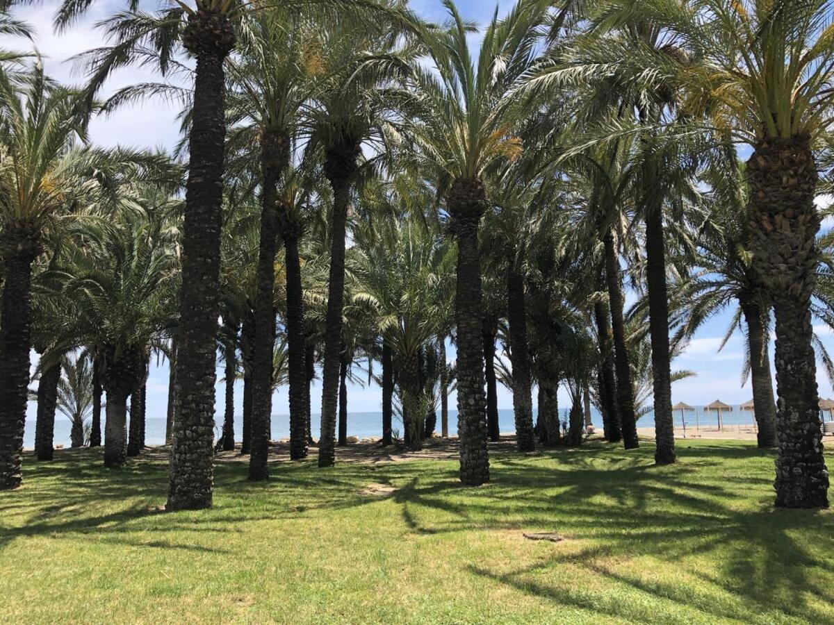 El Remo * Torremolinos