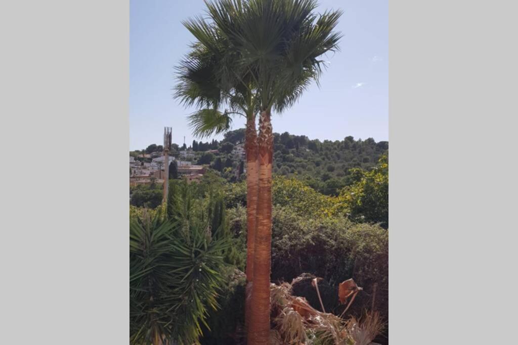 Casa Rustica * Torremolinos