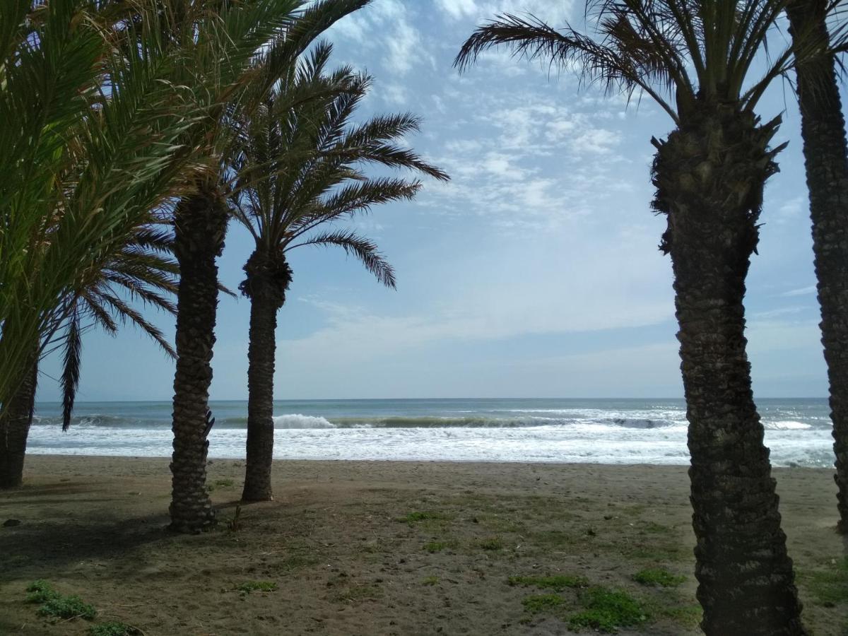 Lugar Ideal