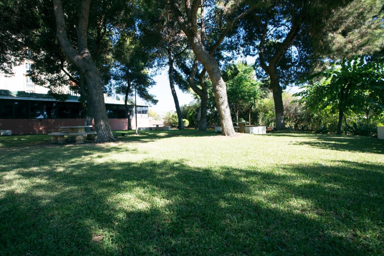 Monkó Baobab