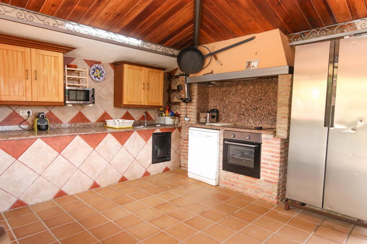 Tess Gorilla Villa Torremolinos