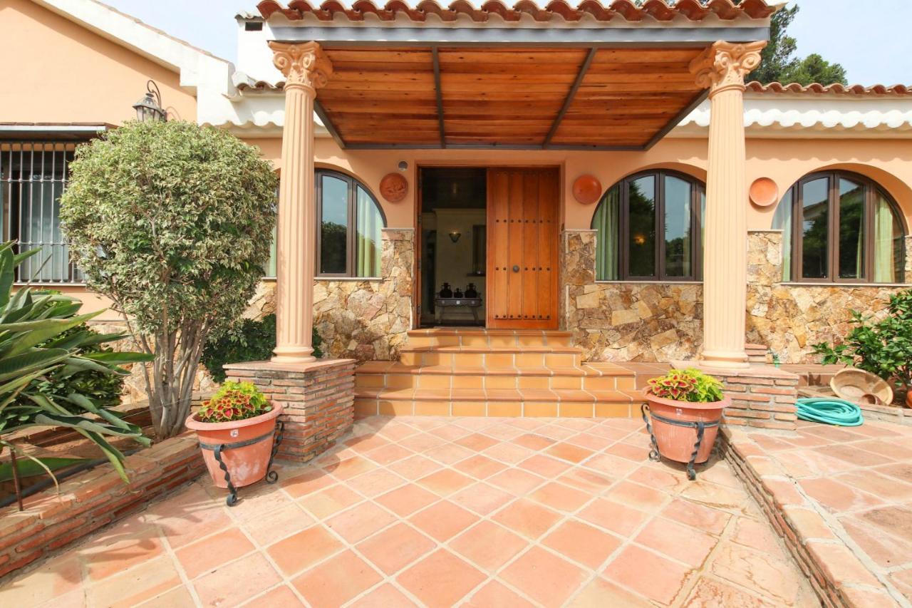 Tess Gorilla Villa *