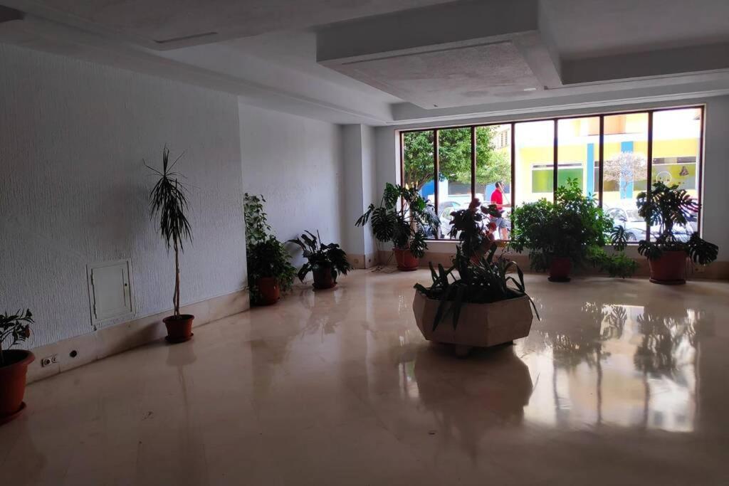 Recien Reformado, Piscinas, Fire Stick Amazon, Wifi, Terraza Apartment