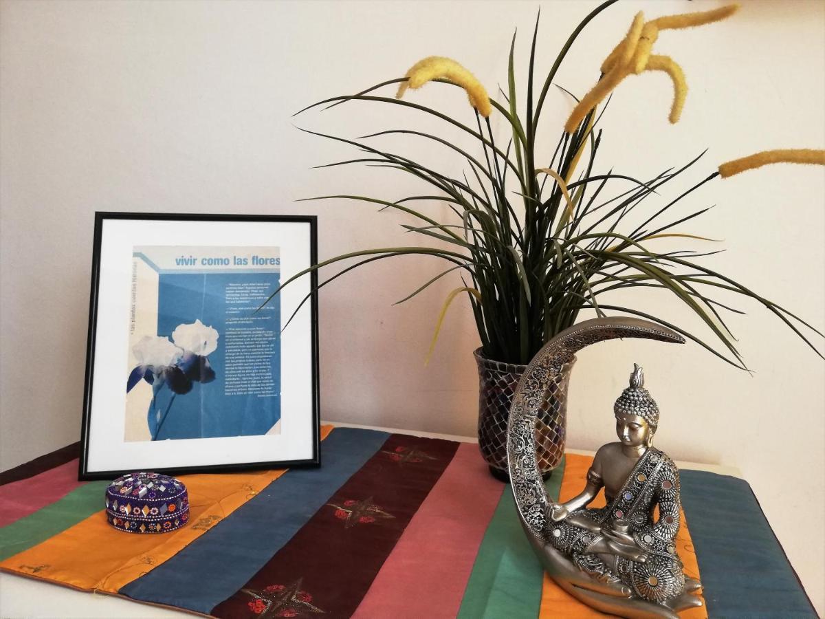 Estudio Con Encanto Appartement