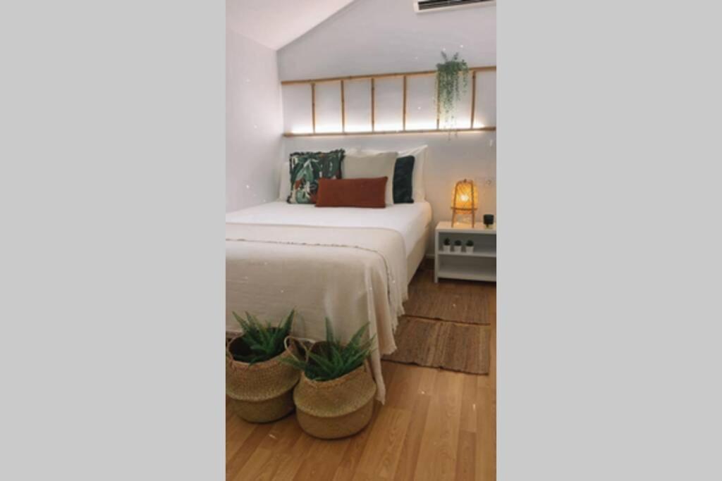 Apartamento Apartamento Del Colorado Playamar *