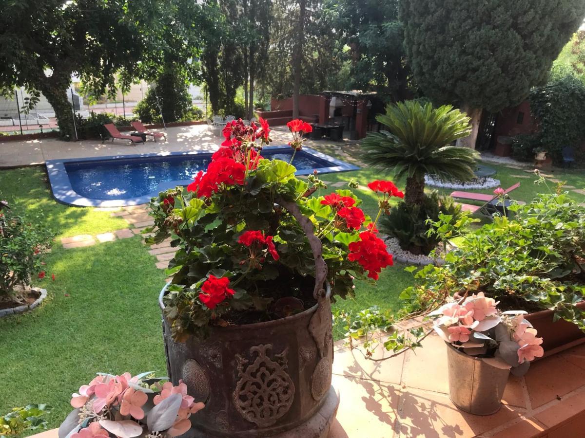 Bed & Breakfast Casa Paraiso Boutique Torremolinos