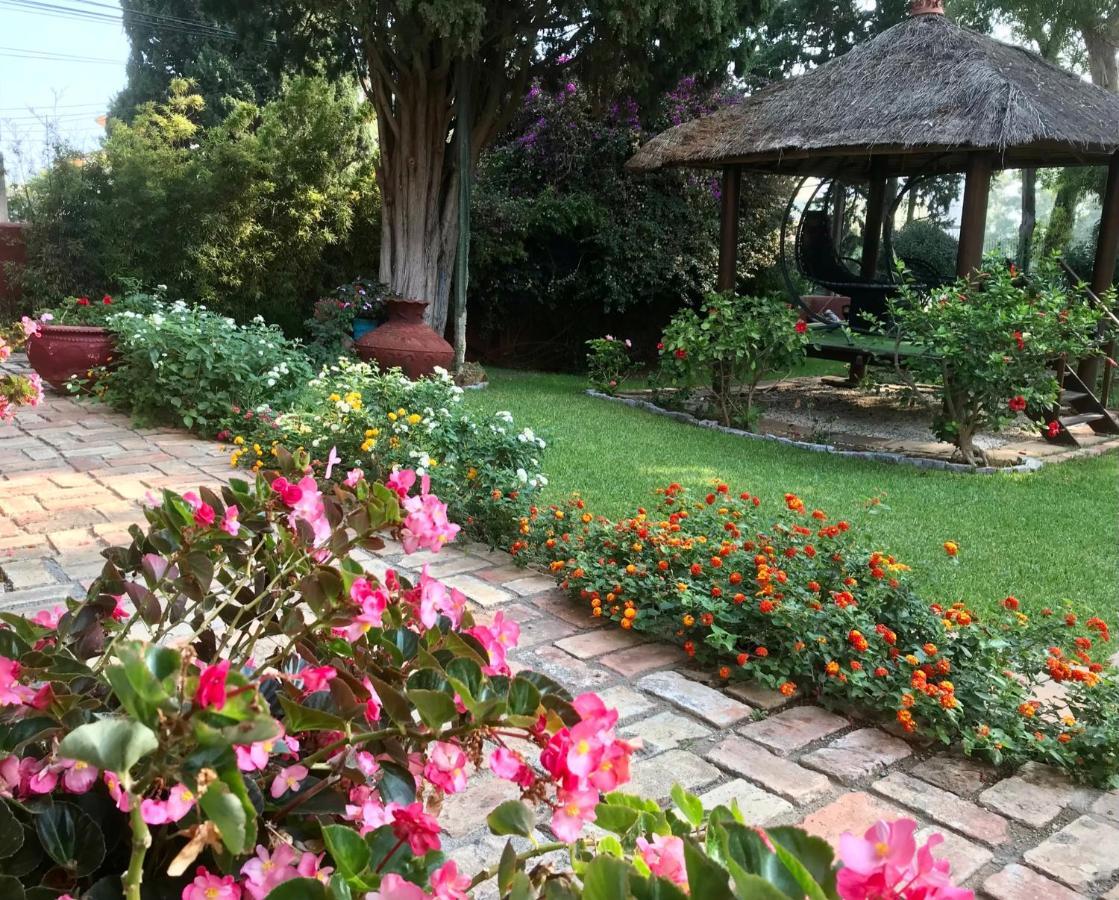 Bed & Breakfast Casa Paraiso Boutique 2*