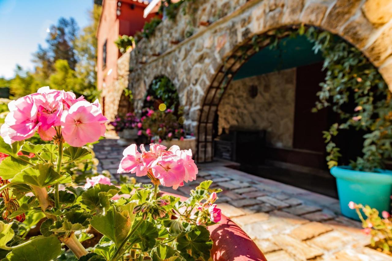 Bed & Breakfast Casa Paraiso Boutique 2*