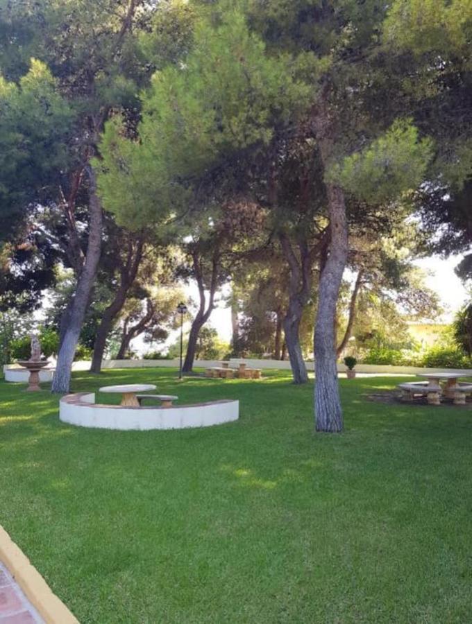 Appartement In Close To Beach *