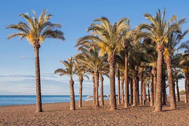 Apartamento Carole Playa Bajondillo Beach - Playa A 30 Segundos - Wifi - Parking - Terraza Apartment *