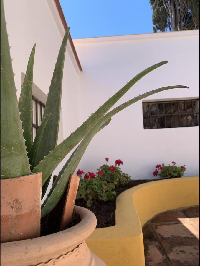 Novedad Centrico Con Porche Y Jardin Apartment *