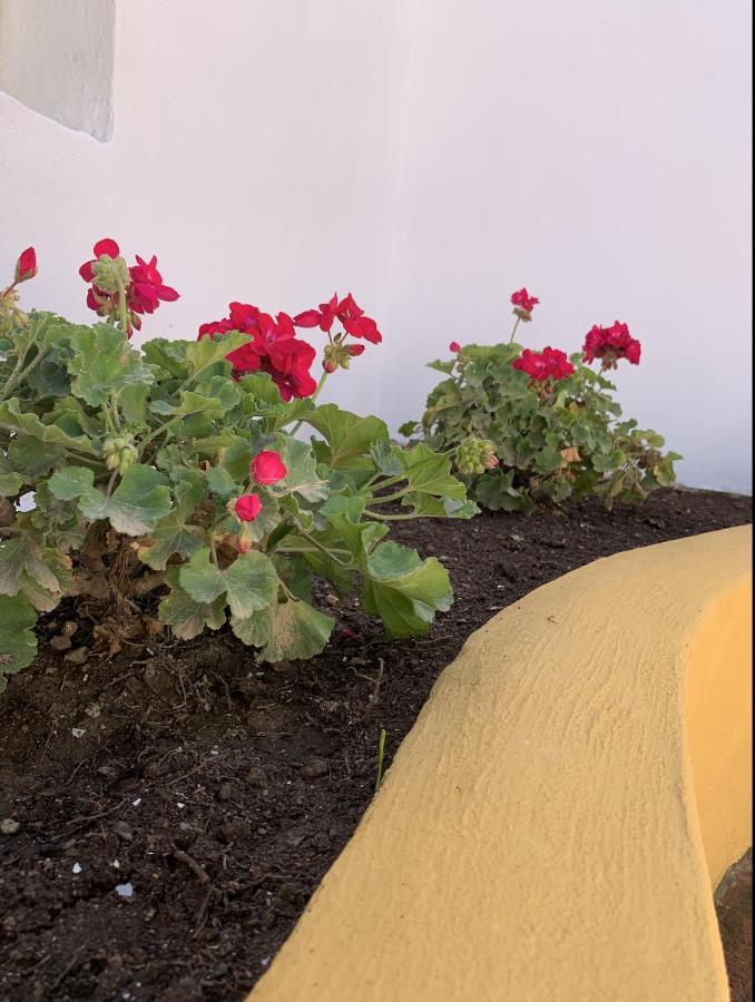 Novedad Centrico Con Porche Y Jardin Appartement Torremolinos