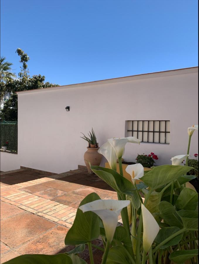 Apartment Novedad Centrico Con Porche Y Jardin *