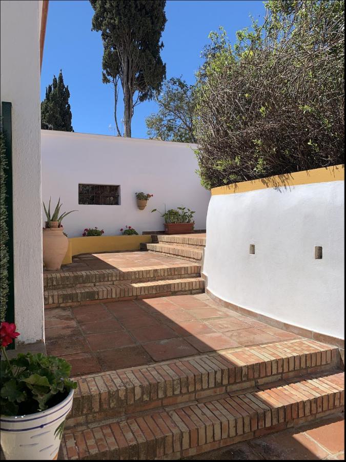 Novedad Centrico Con Porche Y Jardin Apartment *