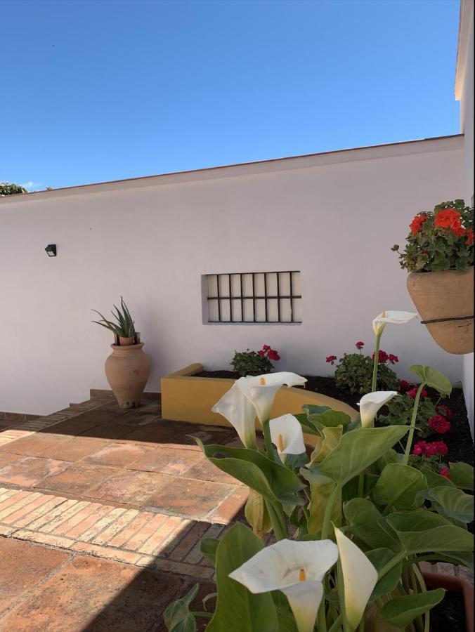 Apartment Novedad Centrico Con Porche Y Jardin