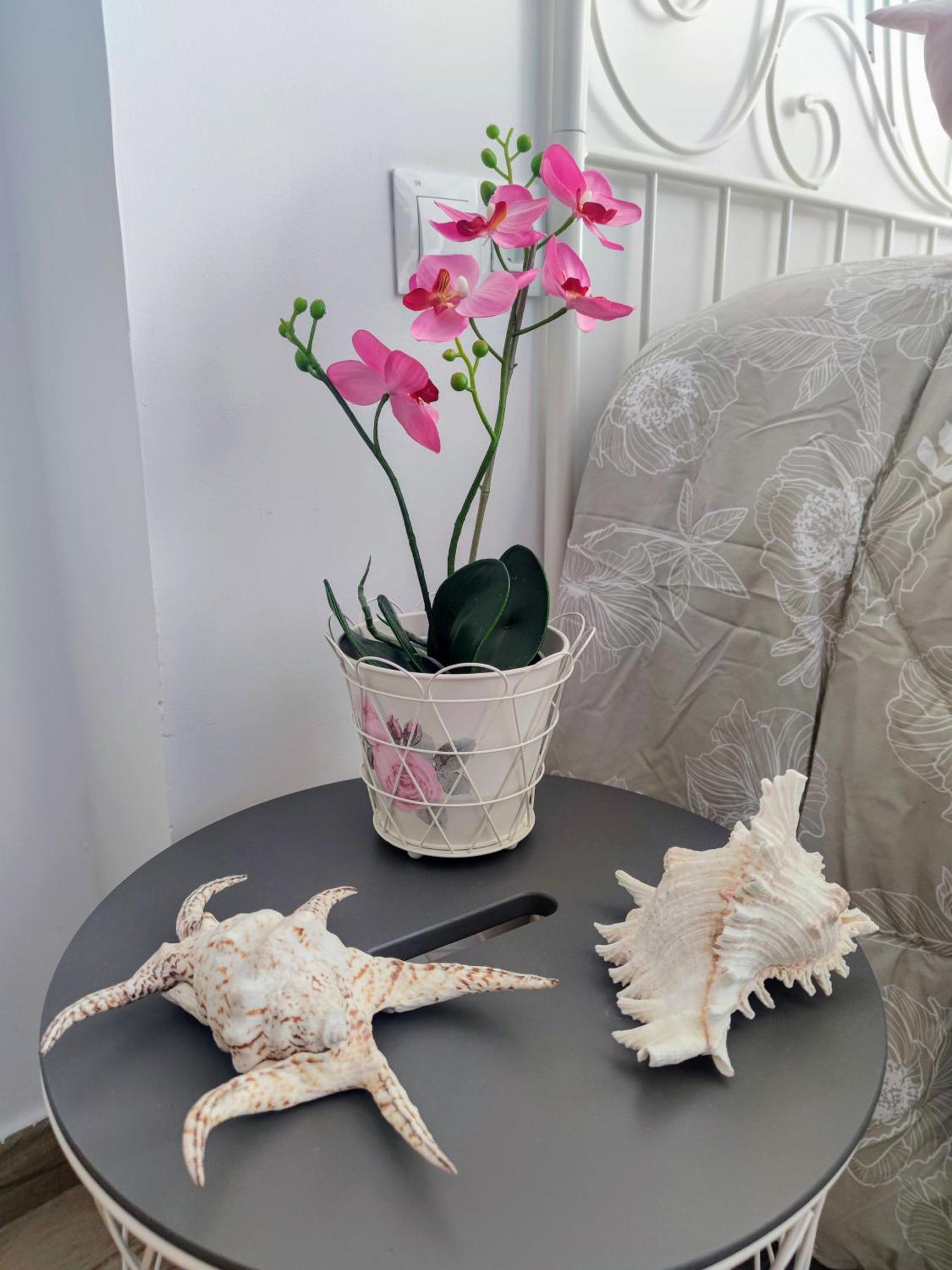 Beach Studio Emozione Appartement *