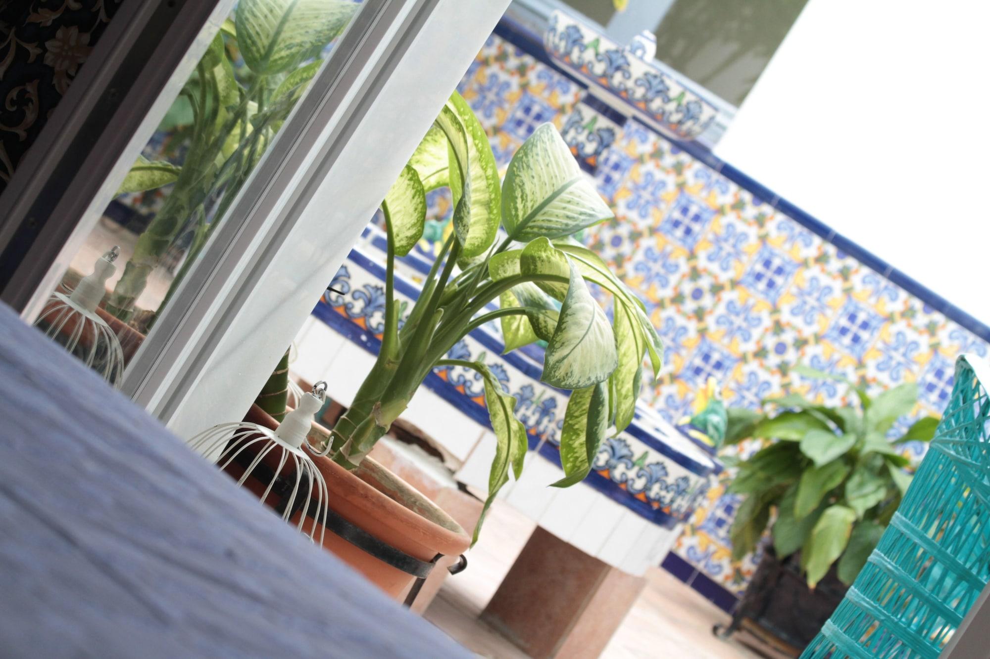 Hotel Moon Dreams Mediterraneo Torremolinos