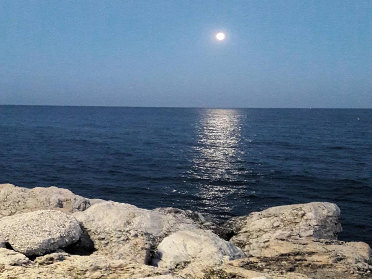 Mediterraneo Carihuela - Torremolinos