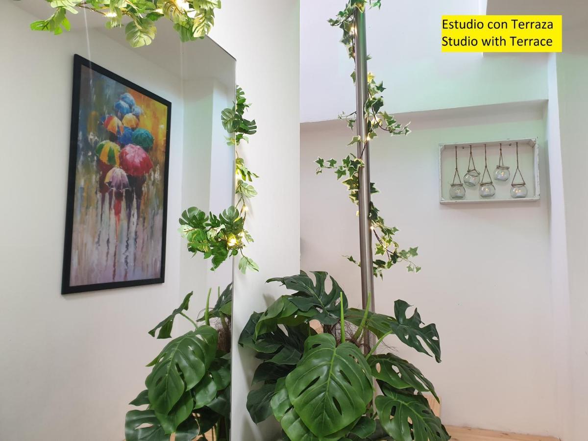 Apartment 100% Reformado, Wifi, Centrico, El Calvario,