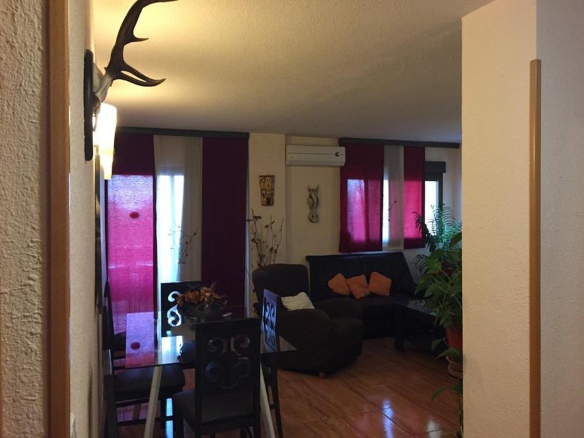 Gayfriendly 2 Bedrooms Apartment, Pet Friendly Apartment