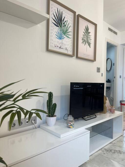 Rent4 Malaga Lyli