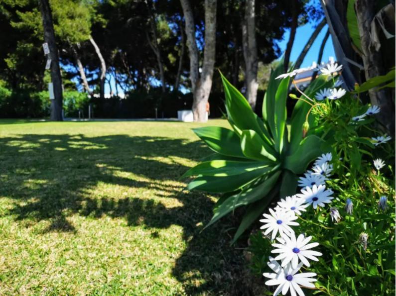 Apartment ¡nuevo! Zona Tranquila Cerca De La Playa De La Carihuela Torremolinos