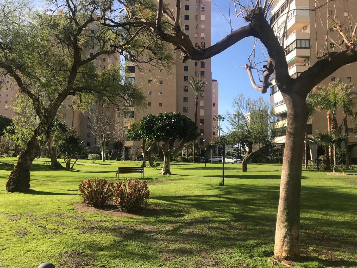 Frente Al Mar Torres De Playamar En Appartement *