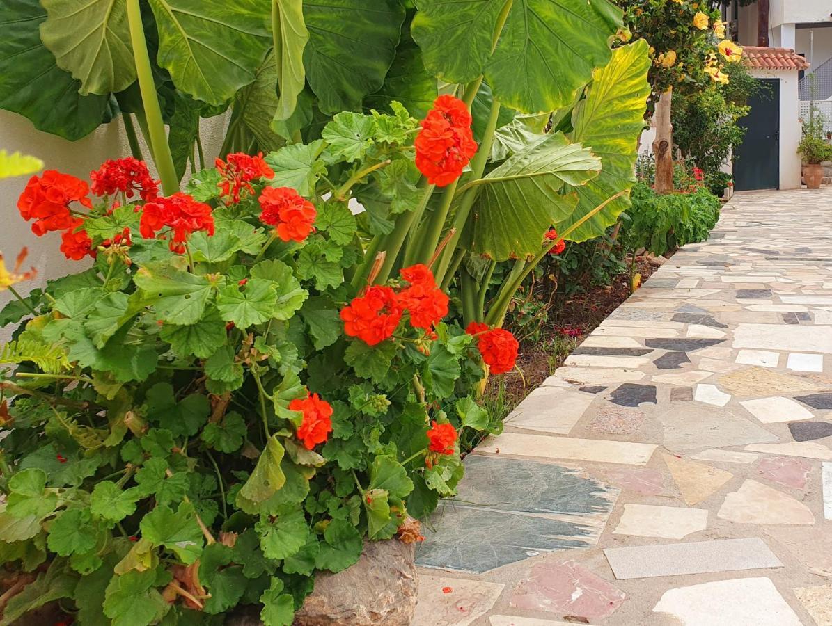 Privatunterkunft Casitas *