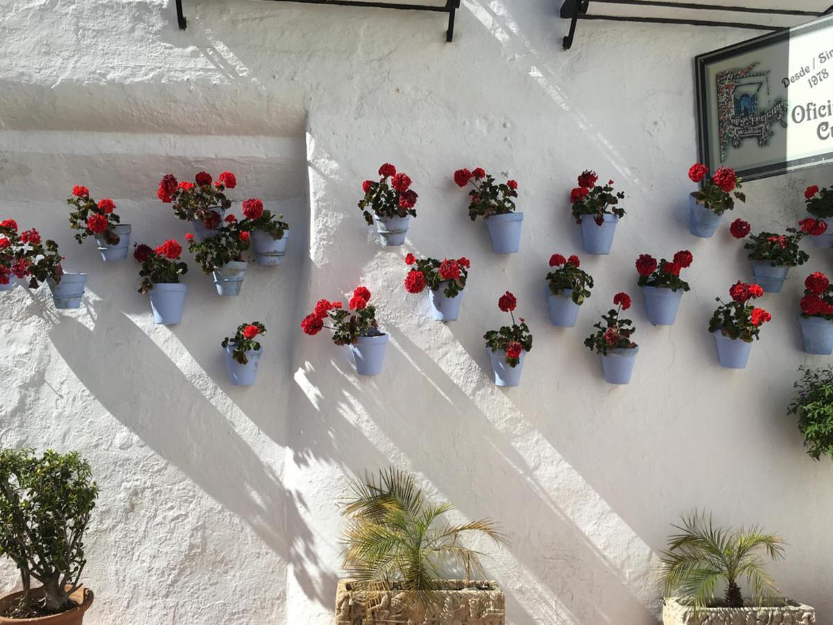Erisa Ib Carihuela - Appartement *