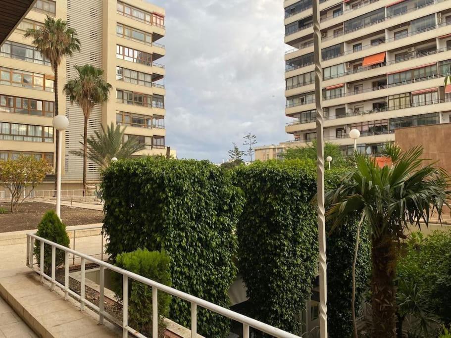 Nogalera Soul, Center By Namaste Elite Apartment *