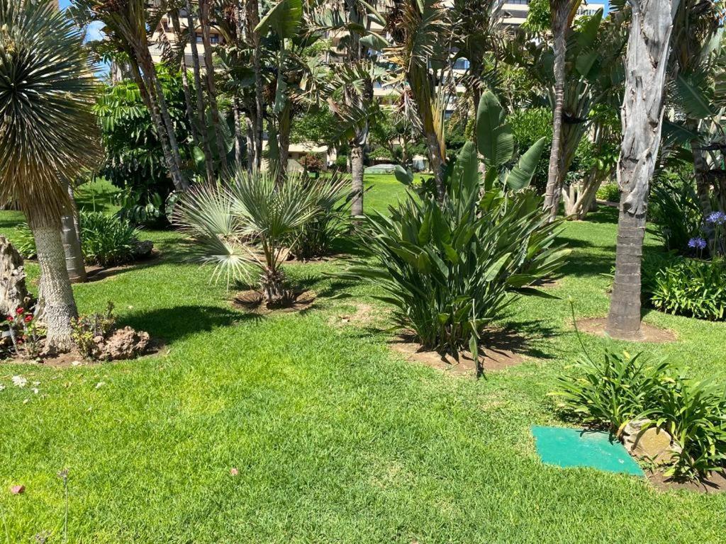 Edificio Playa Mar Apartment