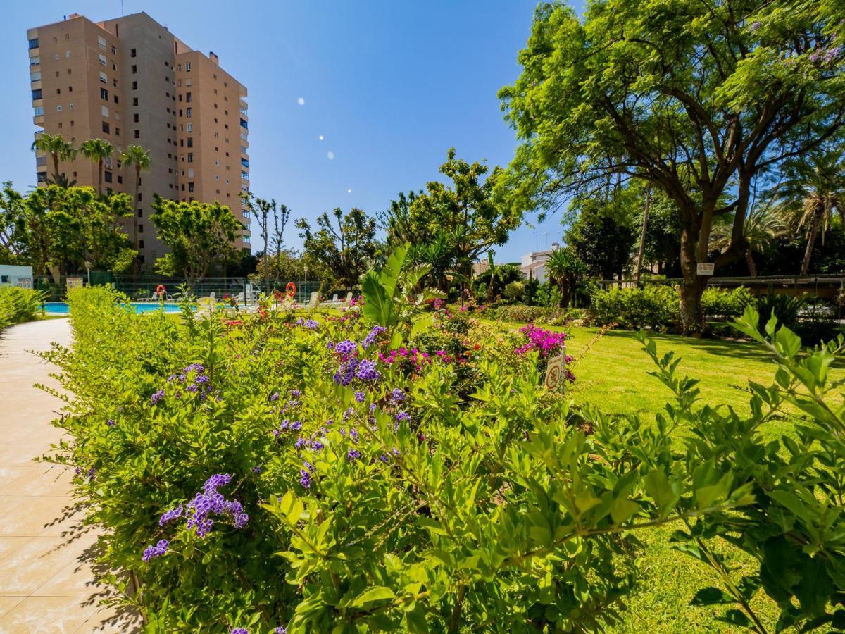 Appartement Cubo's Seaview Evy Playa *