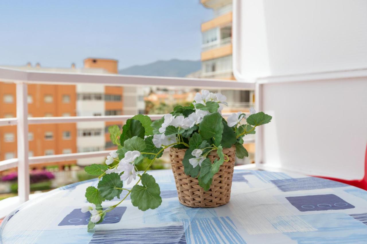 Apartment Saltillo Sol *