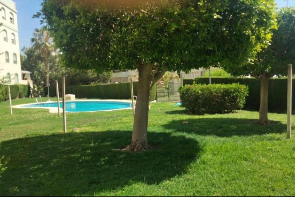 Vivienda En Jardines Del Pinar Torremolinos