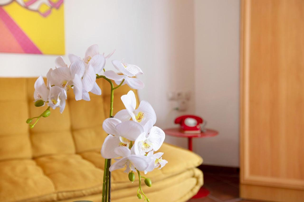 Appartement Calm *