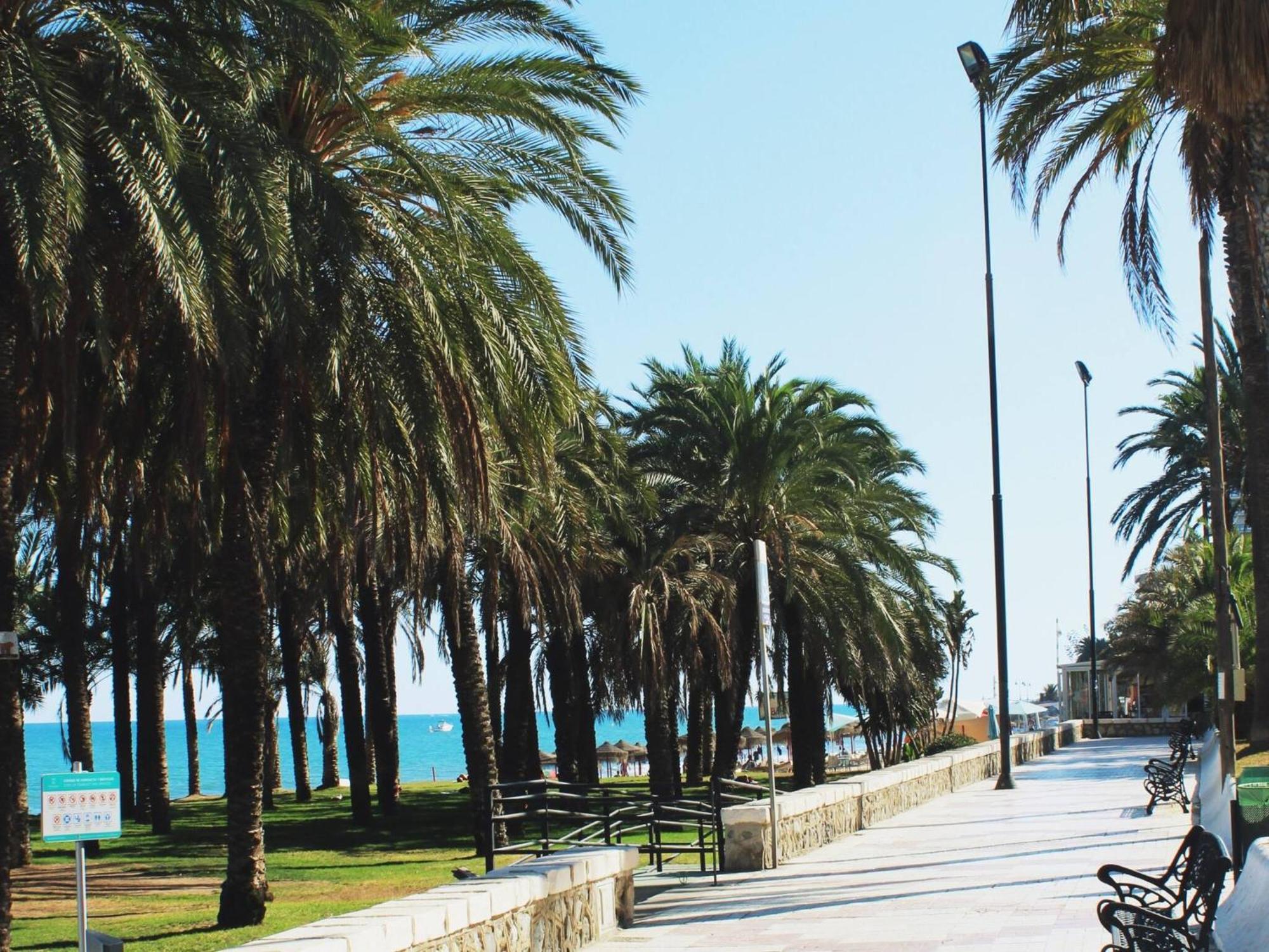 Apartment Esplendido A Pie De Playa En *