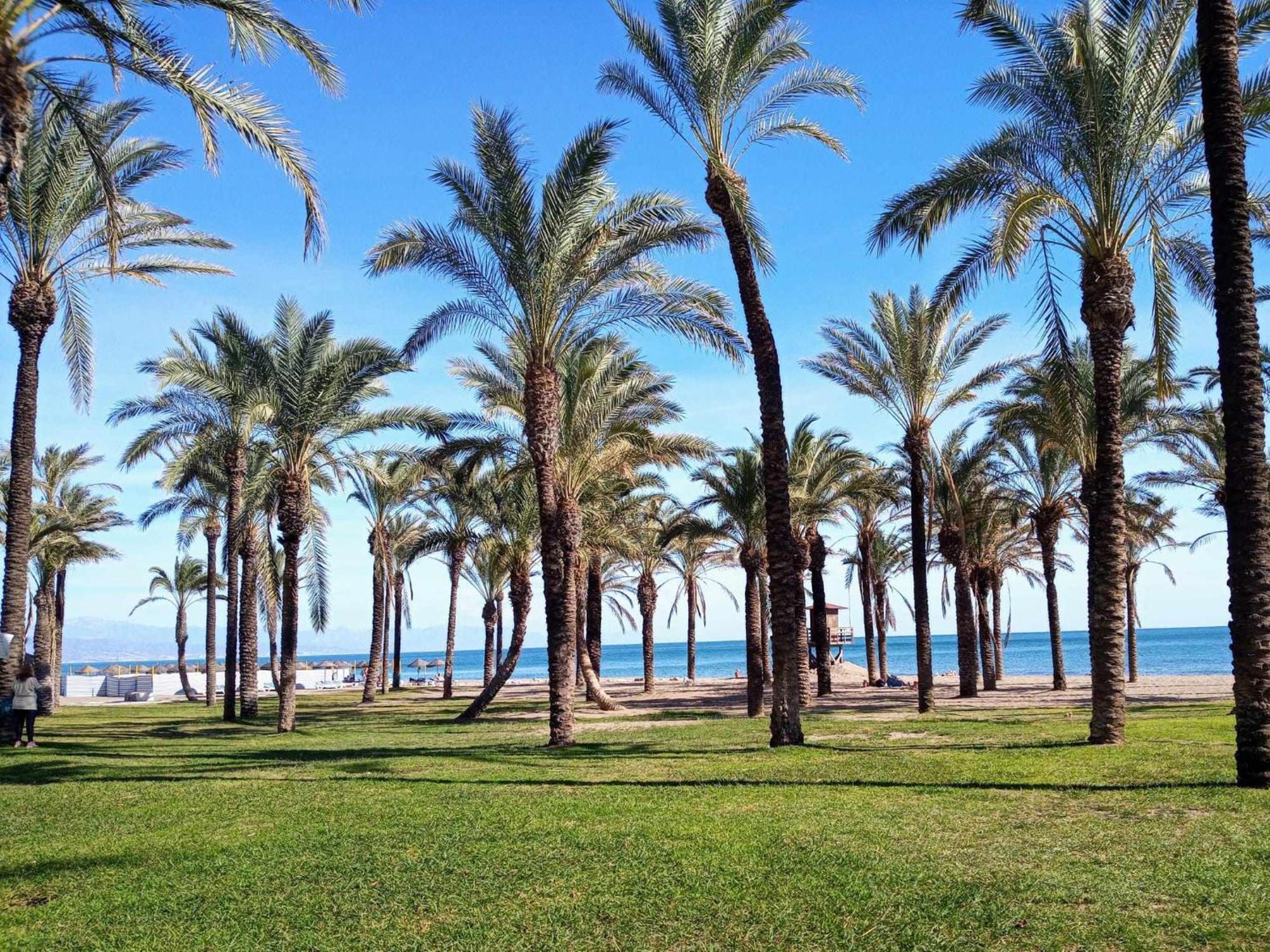 Appartement La Carihuela A 2 Minutos De La Playa