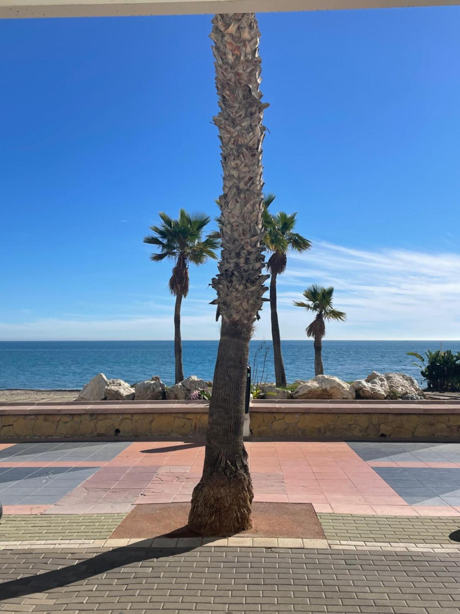 Moderno Piso Mirando Al Mar Appartement