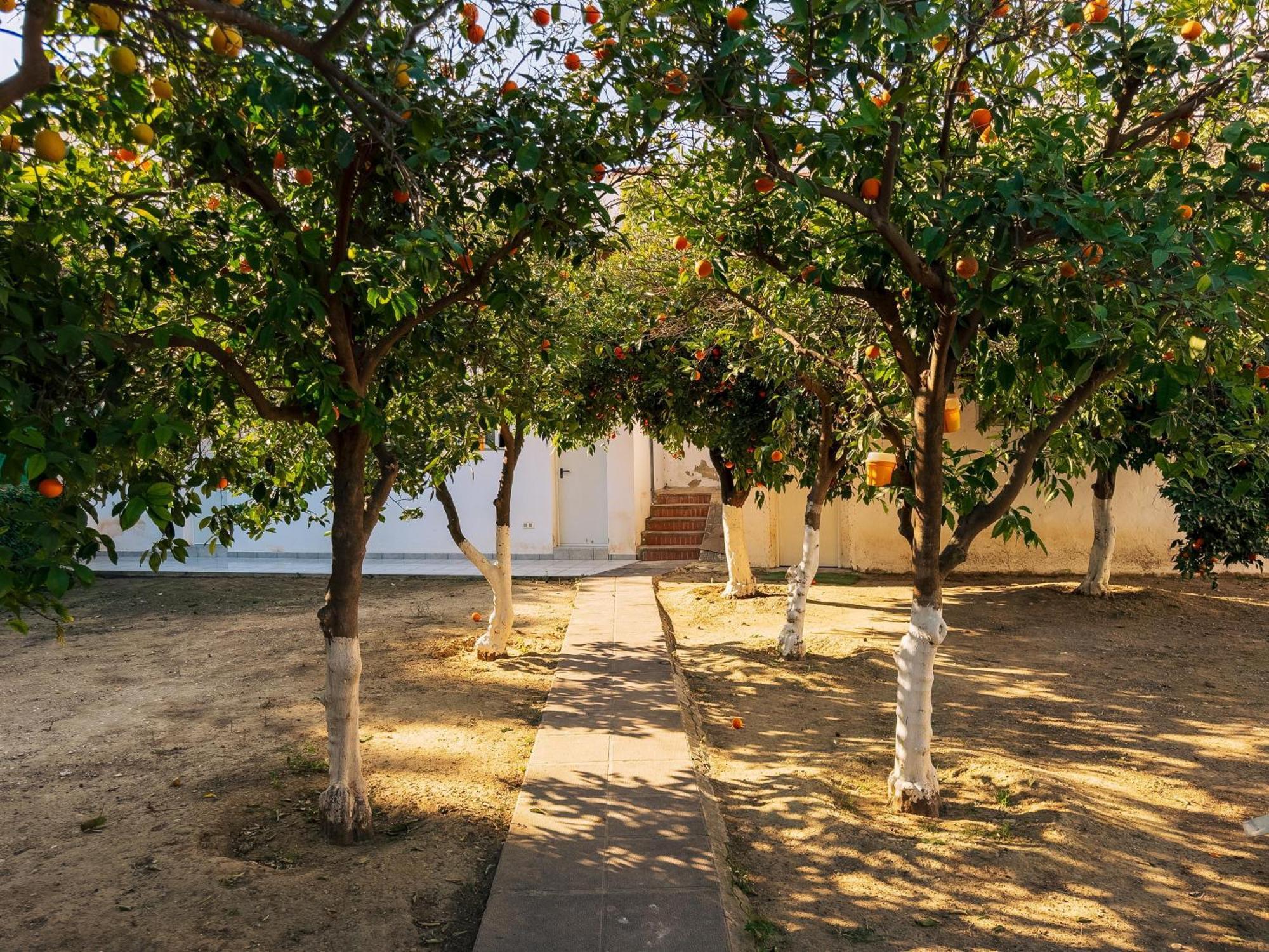 Holiday home Charming Torremolinos