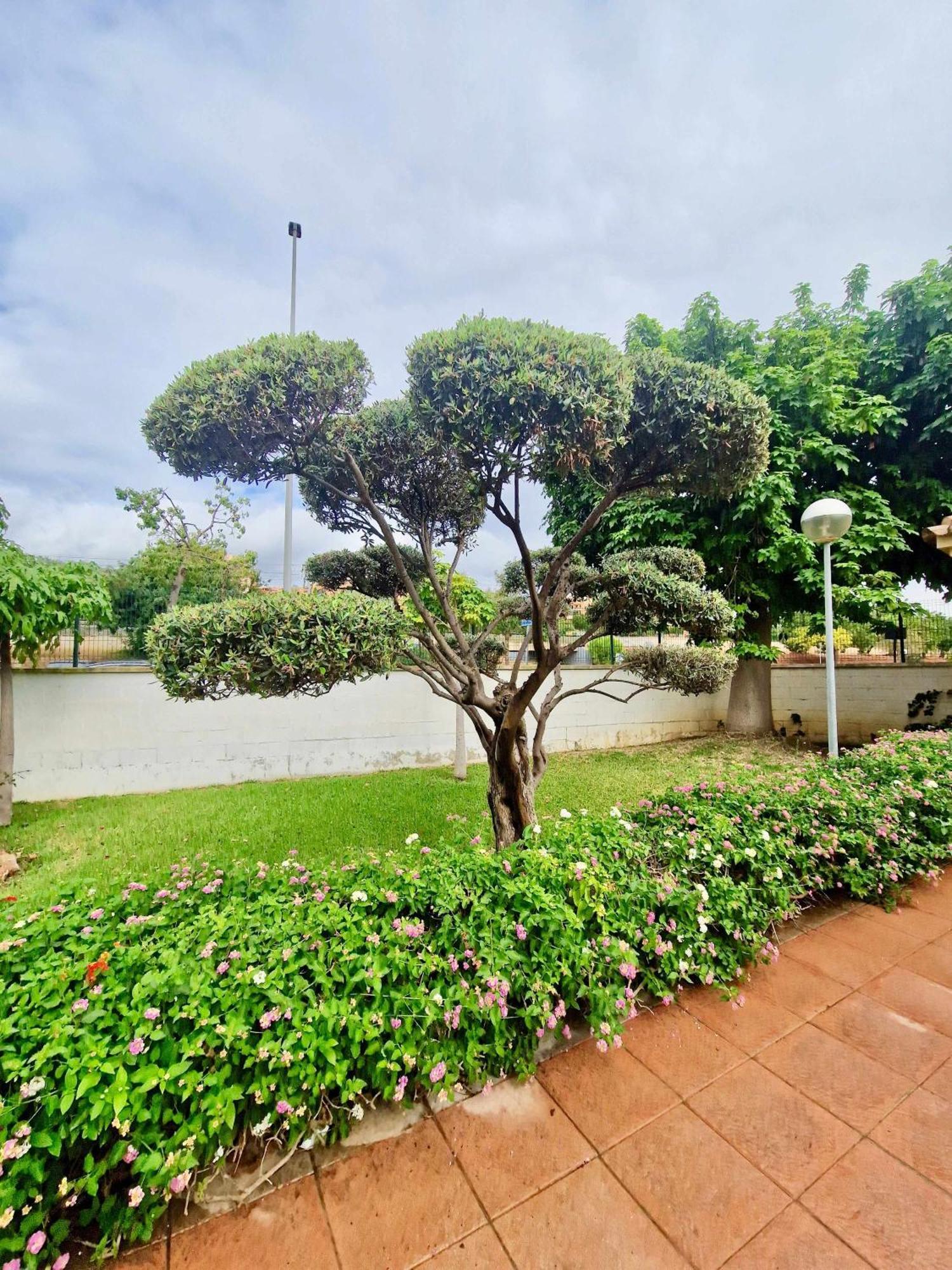 Sr Luxury Penthouse Appartement *