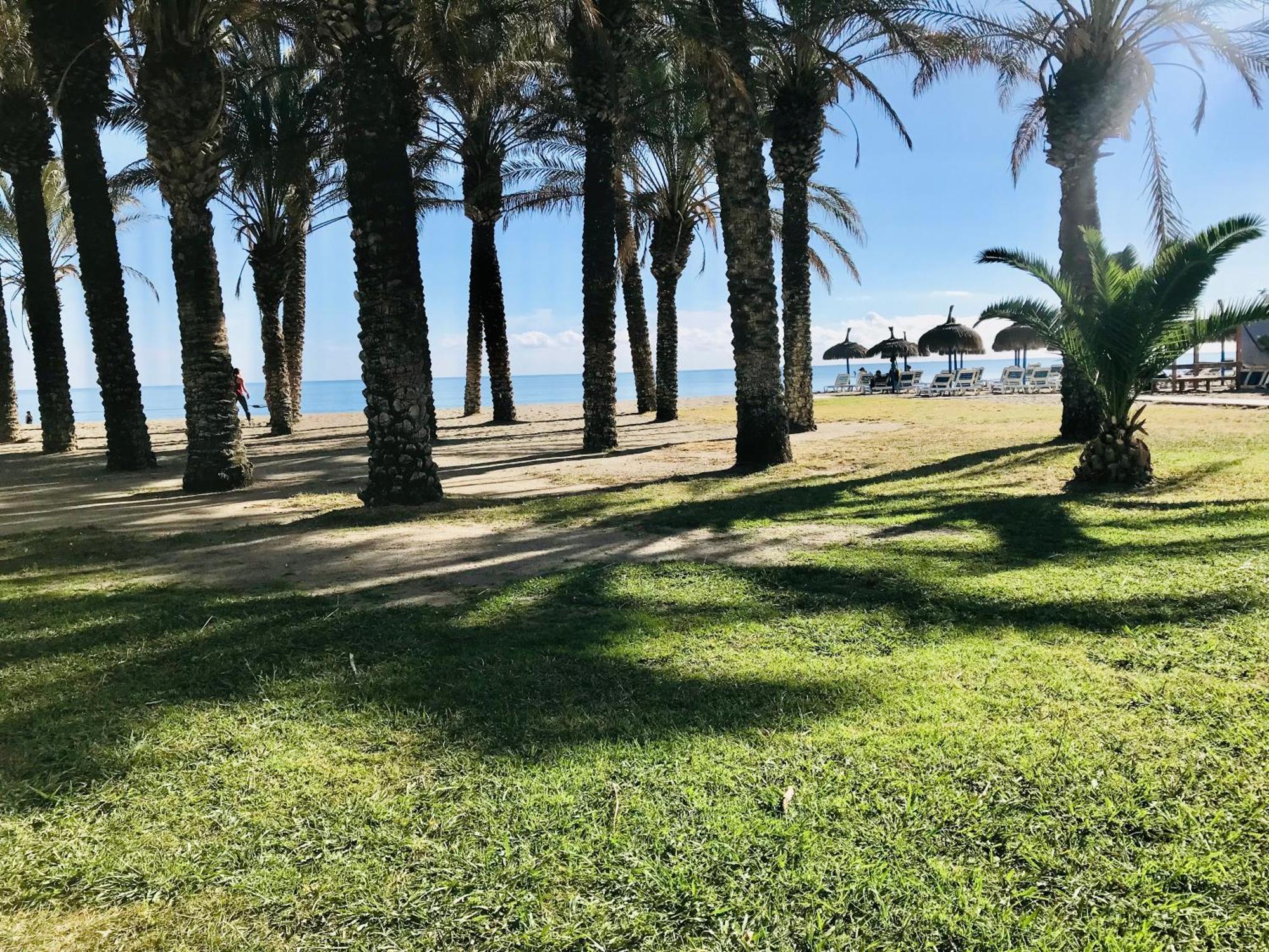 Frente Al Mar Torres De Playamar En