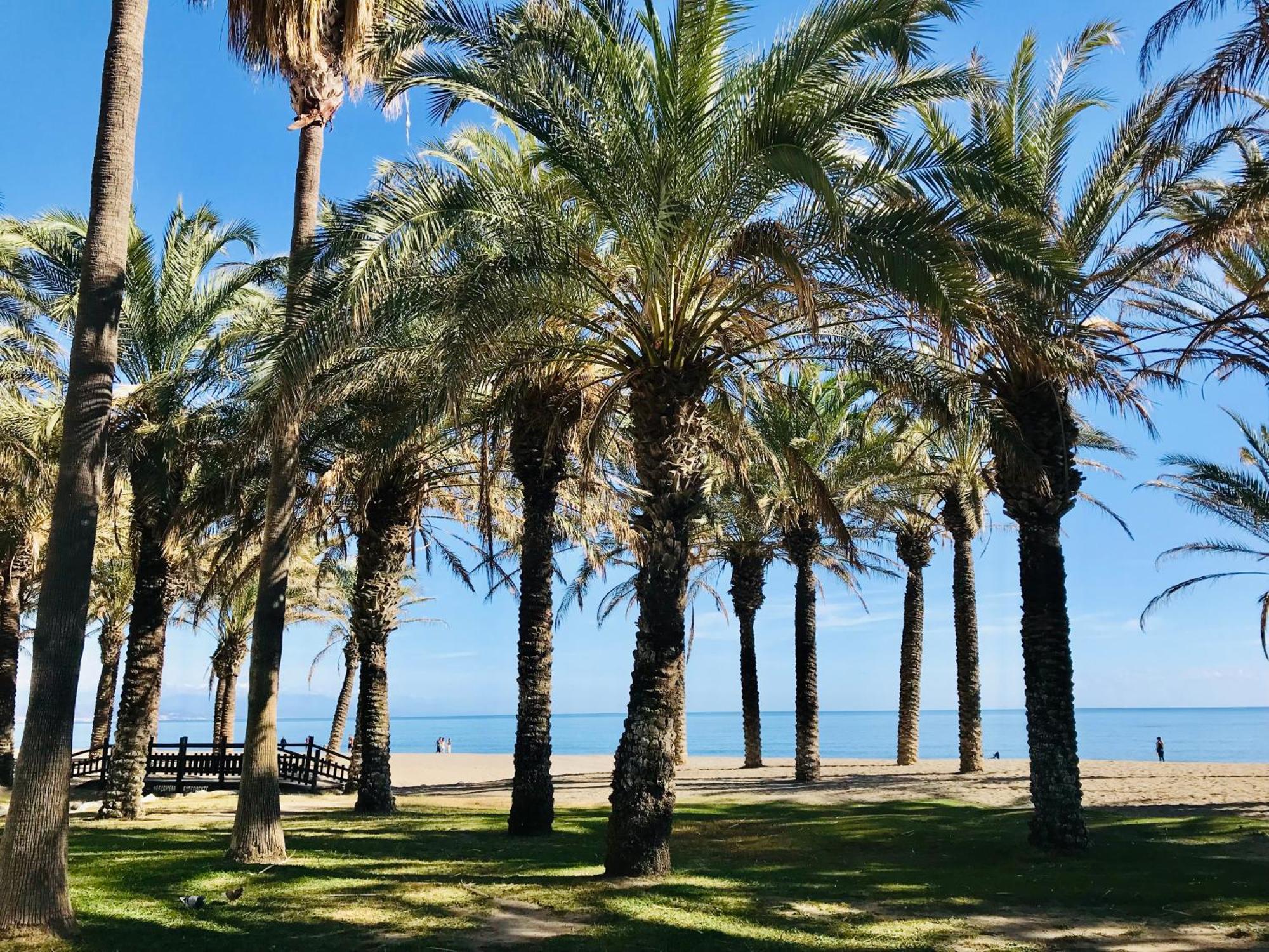 Frente Al Mar Torres De Playamar En Appartement